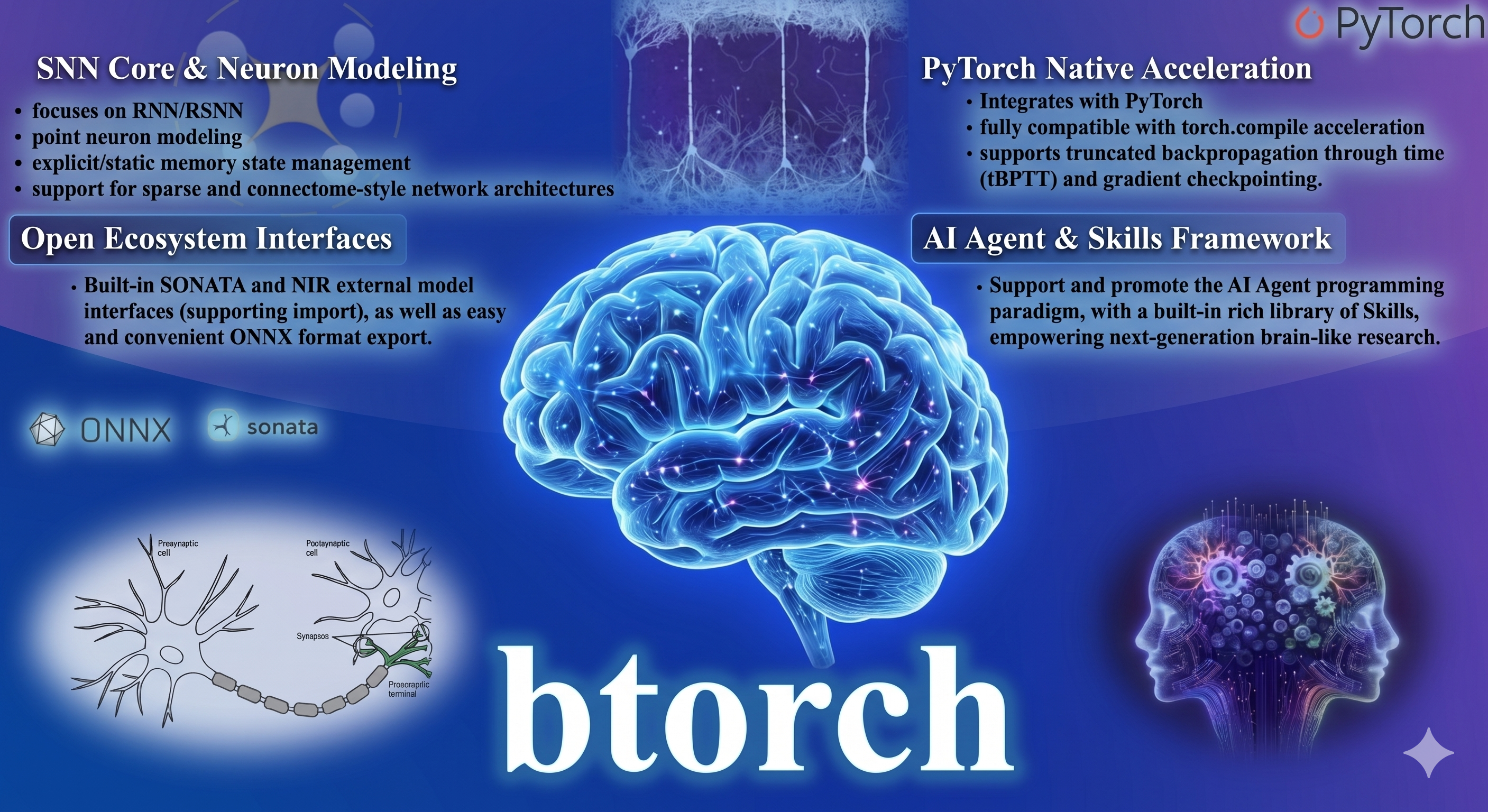 Btorch Overview